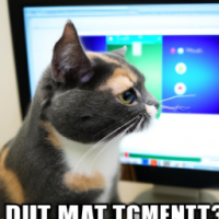 Generate meme of cat watching computer
