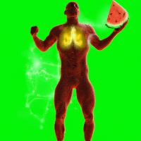 4. Full Body Energized by Watermelon Nutrients  A cinematic 3D anatomical human body with organs and muscles glowing brightly as nutrients from watermelon spread through the bloodstream, symbolizing hydration, energy, and cellular refreshment. Clean green background.